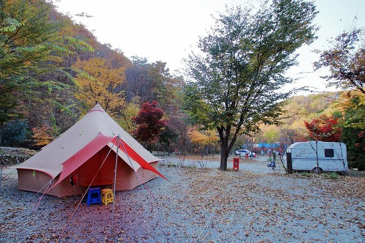 THATS CAMPING 횡성자연휴양림야영장 사진