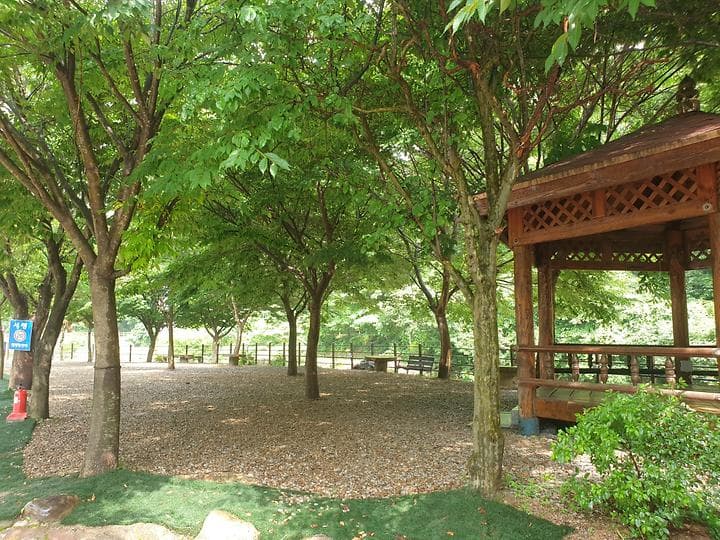 녹색 오토캠핑장 사진