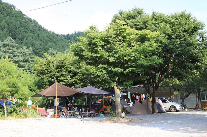 영월계곡 느티별캠핑장 사진