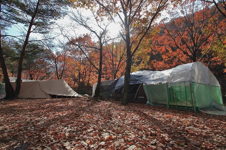 참나무숲 오토캠핑장 사진