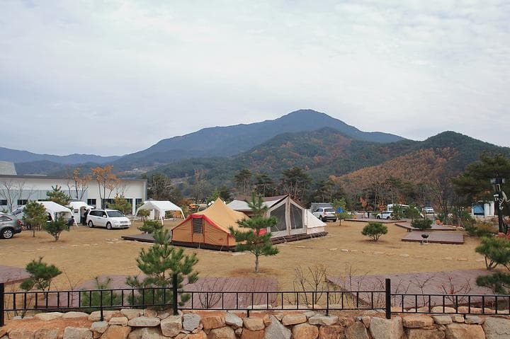 캠프 안단테 사진