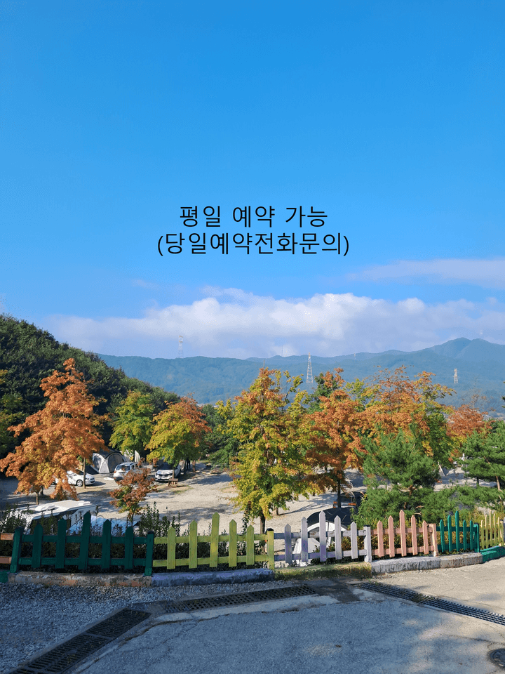단풍숲캠핑장 사진