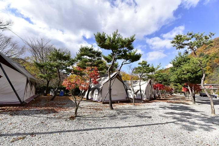 리즈밸리 사진