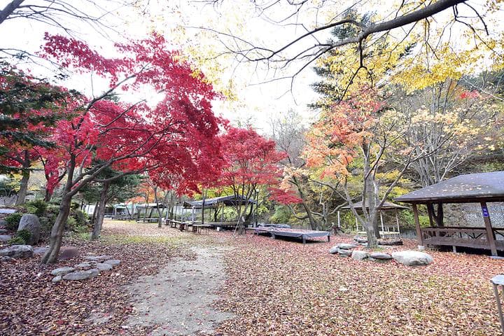 유명산밸리캠핑장 사진