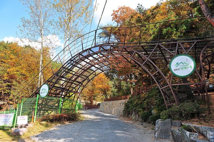 입화산참살이숲야영장 사진