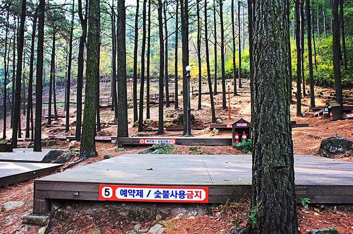 제암산자연휴양림 야영장 사진