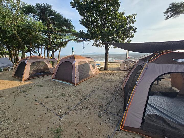 동막리 마을회 사진