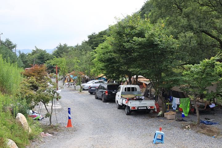 백년펜션 야영장 사진