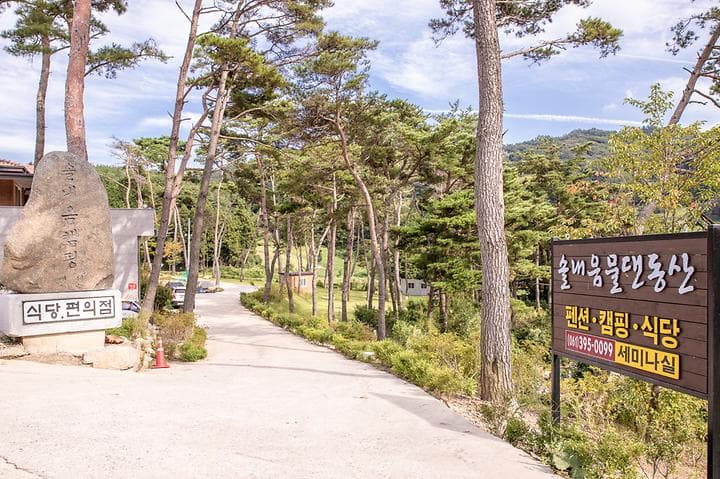 솔내음 물댄동산 야영장 사진