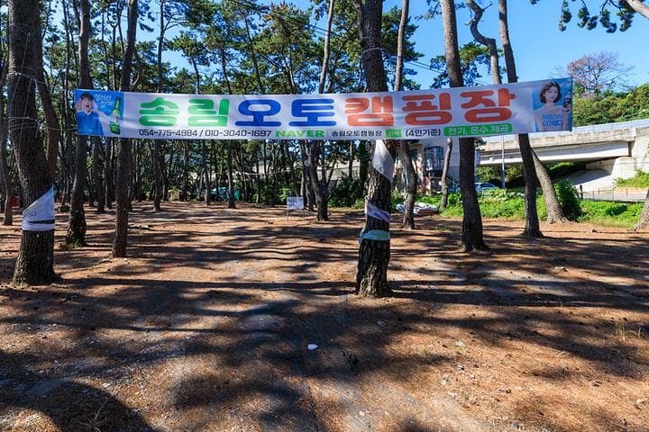 송림오토캠핑장 사진