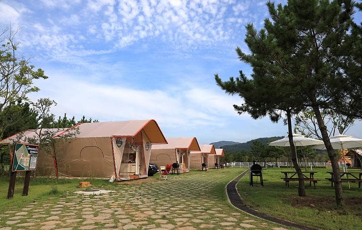 고창갯벌오토캠핑&글램핑 사진