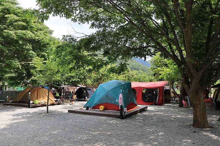 자연과함께 펜션캠핑장 사진