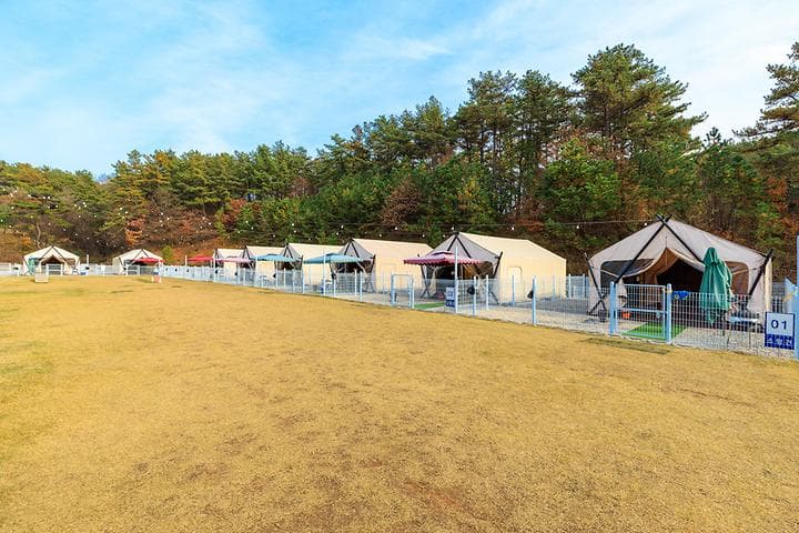멍글멍글 펫 글램핑(주) 사진
