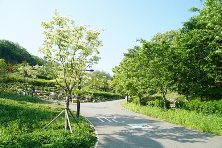 천왕산 가족캠핑장 사진
