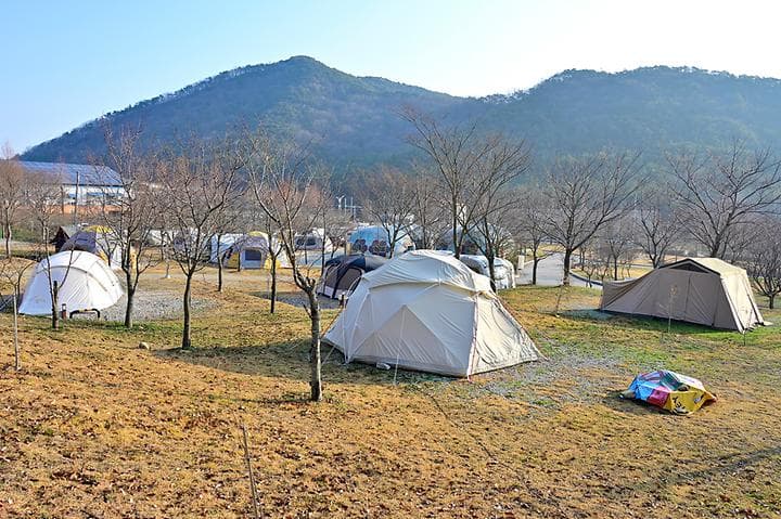 보다더캠핑 사진
