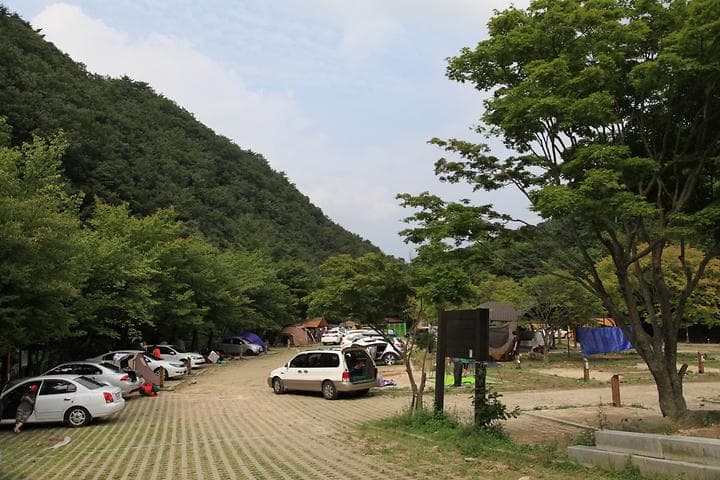 덕동자동차야영장 사진