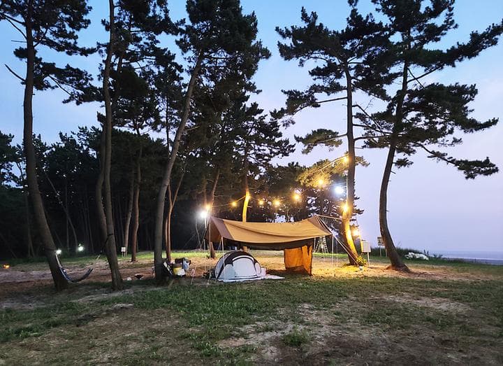 태안노을숲캠핑장 사진