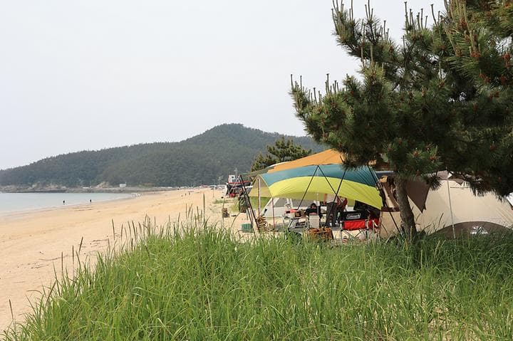 해씨유 사진