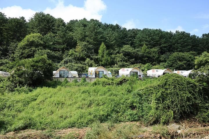 가평 네잎클로버 카라반 글램핑 사진