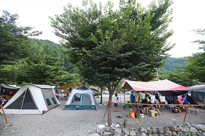 둘레길관광농원 사진