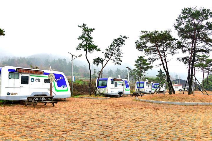 장선해변 캠핑장 사진